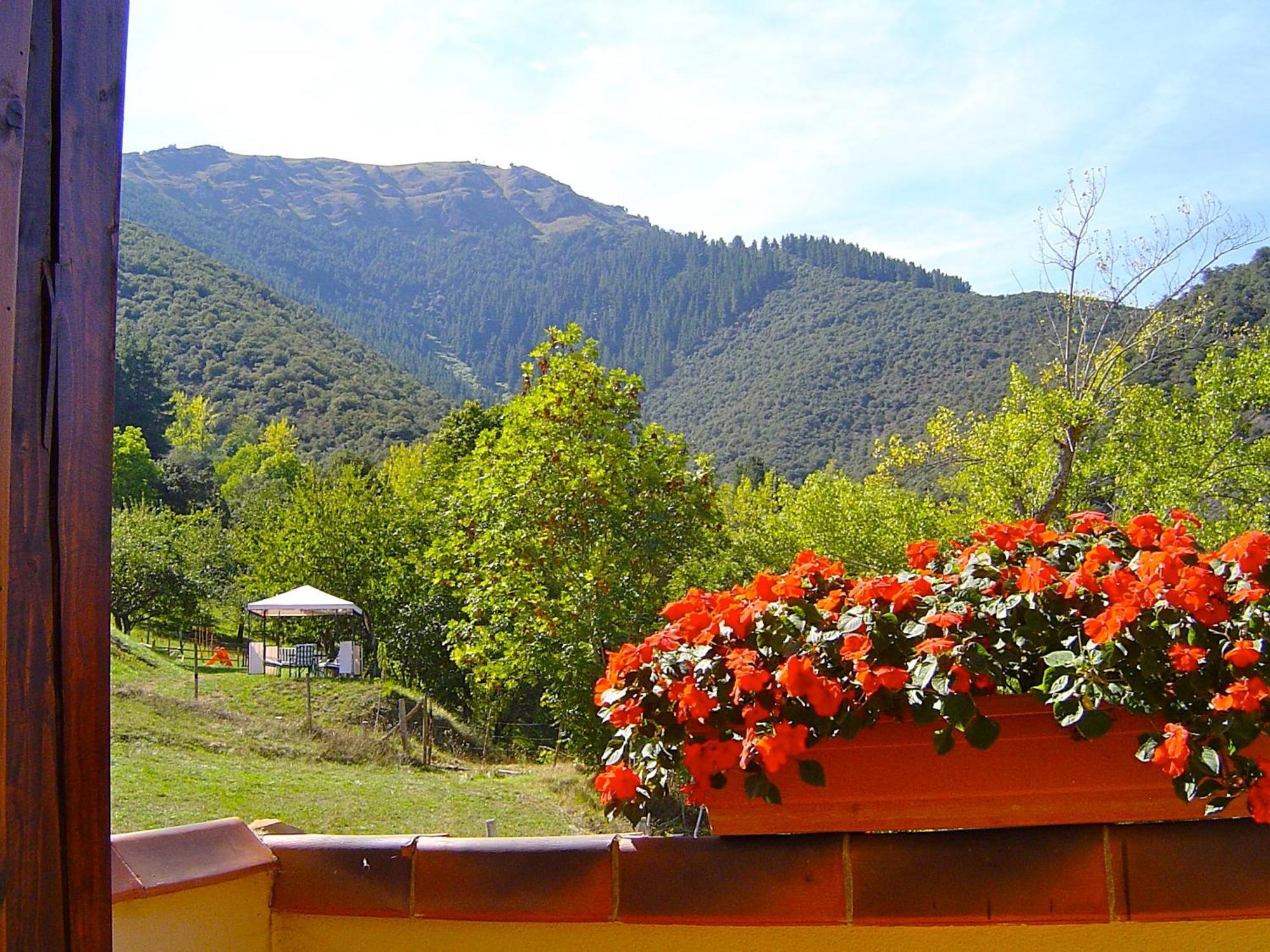 Posada El Bosque Mieses Eksteriør billede